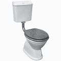 Colonial Toilet | Gemini Feature Toilet Suite - Sink & Bathroom Shop